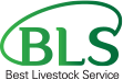 BLS 비엘에스